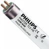 Philips | TL Buis | T5 G5| 14W 549mm 4000K Koel wit online kopen