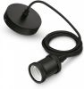 Philips Pendelsnoer Hanglamp Vintage Zwart 36107/30/PN E27 online kopen