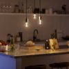 Philips Pendelsnoer Hanglamp Vintage Zwart 36107/30/PN E27 online kopen