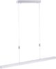 Lamponline Paul Neuhaus Hanglamp Adriana Verstelbaar L 120 180 Cm Mat chroom online kopen
