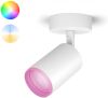 PHILIPS HUE Fugato opbouwspot wit en gekleurd licht 1-lichts wit online kopen