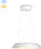 Philips Hanglamp Hue Amaze White AmbianceØ 43, 4cm wit 929003054801 online kopen