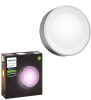 PHILIPS HUE Daylo muurlamp wit en gekleurd licht aluminium online kopen