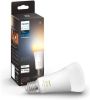 Philips Hue E27 13W White and Color 929002471901 online kopen